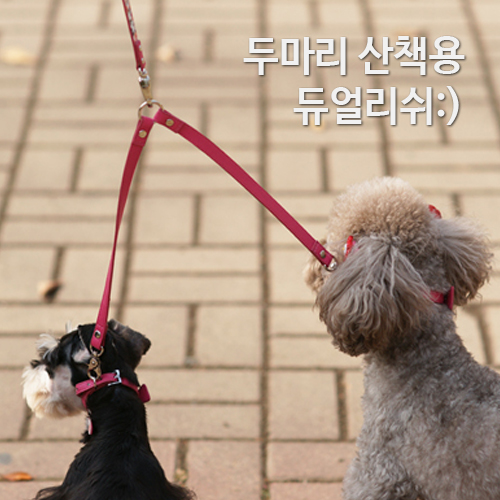 패리스독 두마리 강아지 산책용 듀얼 리쉬 레드/핑크/블랙/블루